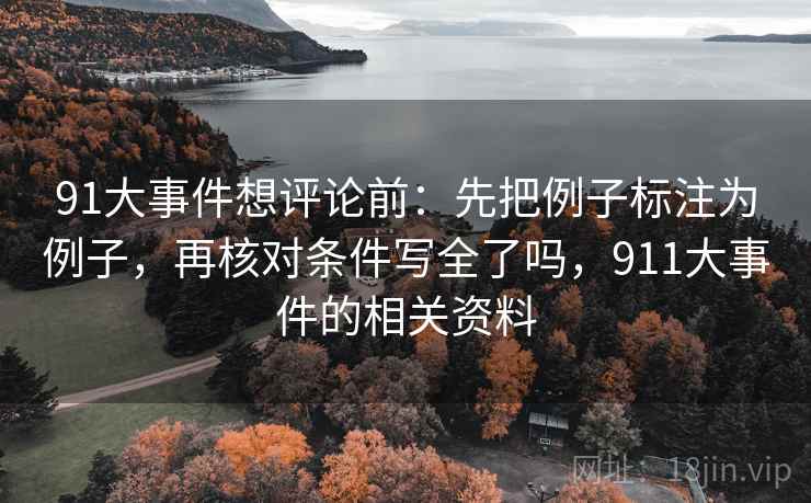 91大事件想评论前：先把例子标注为例子，再核对条件写全了吗，911大事件的相关资料